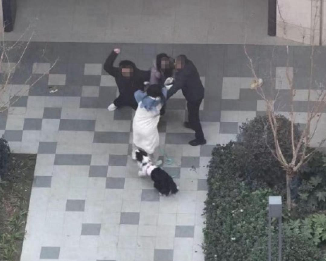 上海事件:上海事件视频