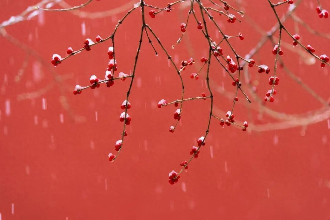 北京消息/北京消息平台