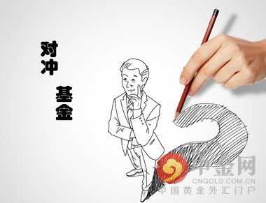 对冲基金是什么意思举例说明(对冲基金是什么)