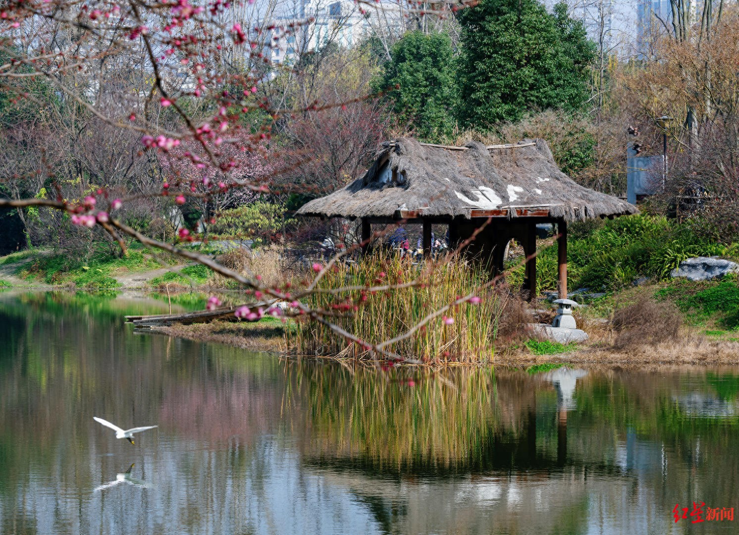 成都解封通告:成都解除封锁通知