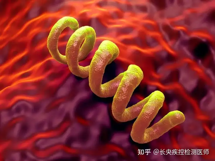 详细阅读:和感染者聊天被感染:和感染者聊天被感染怎么办 和感染者聊天被感染:和感染者聊天被感染怎么办